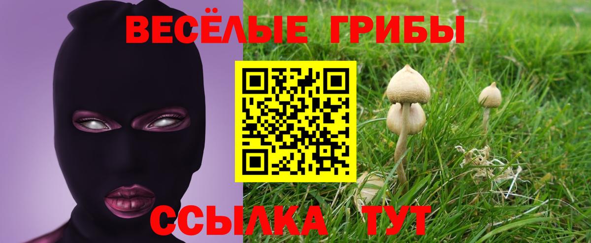 Псилоцибиновые грибы MAGIC MUSHROOMS Полысаево